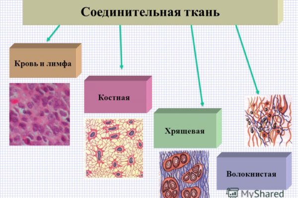 Кракен открылся