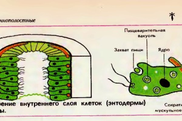 Как войти в кракен через тор